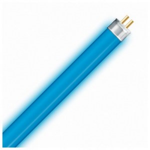 Лампа люминесцентная Foton Lighting T4 G5 8W/BLUE 327mm Артикул: 425480